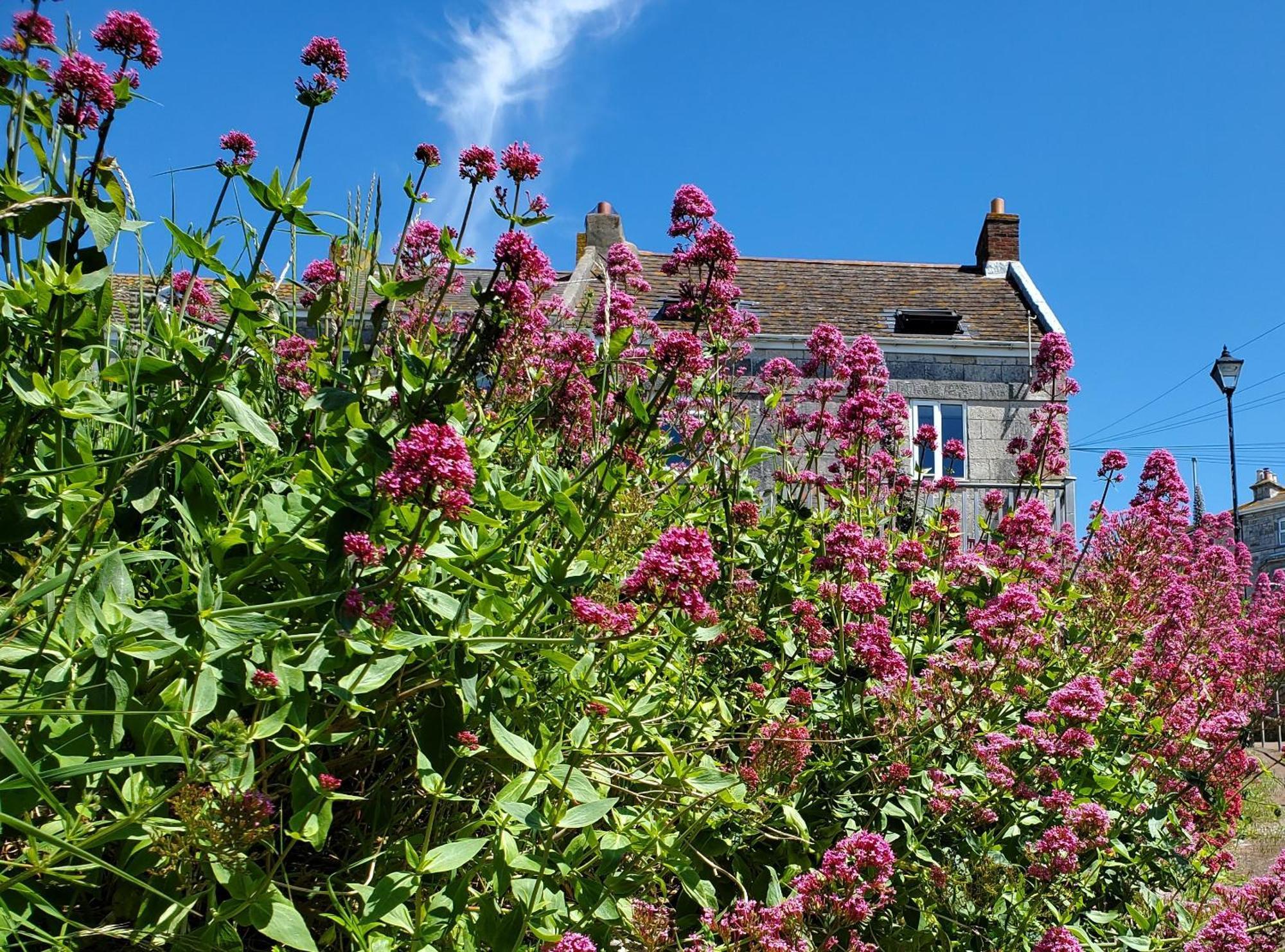 Sea View Cottage Portland Luaran gambar